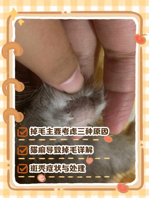 猫身上一块一块掉毛