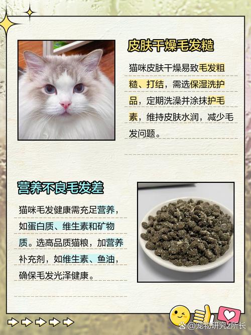 猫腿上秃了一块,是怎么回事?