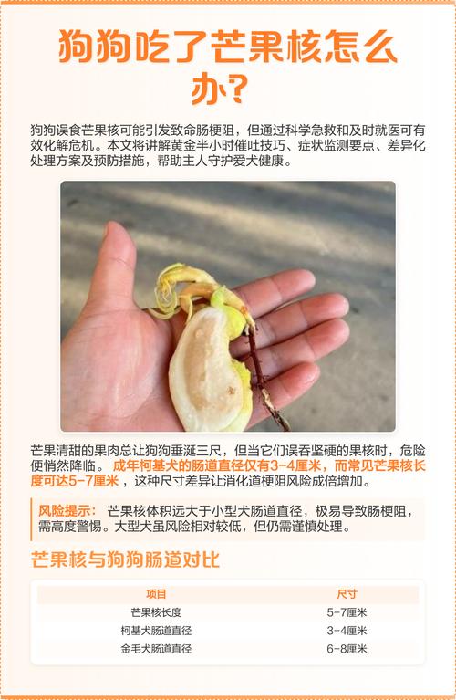 狗为什么不能吃芒果