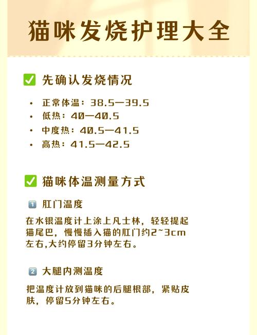 猫咪发烧有哪些症状