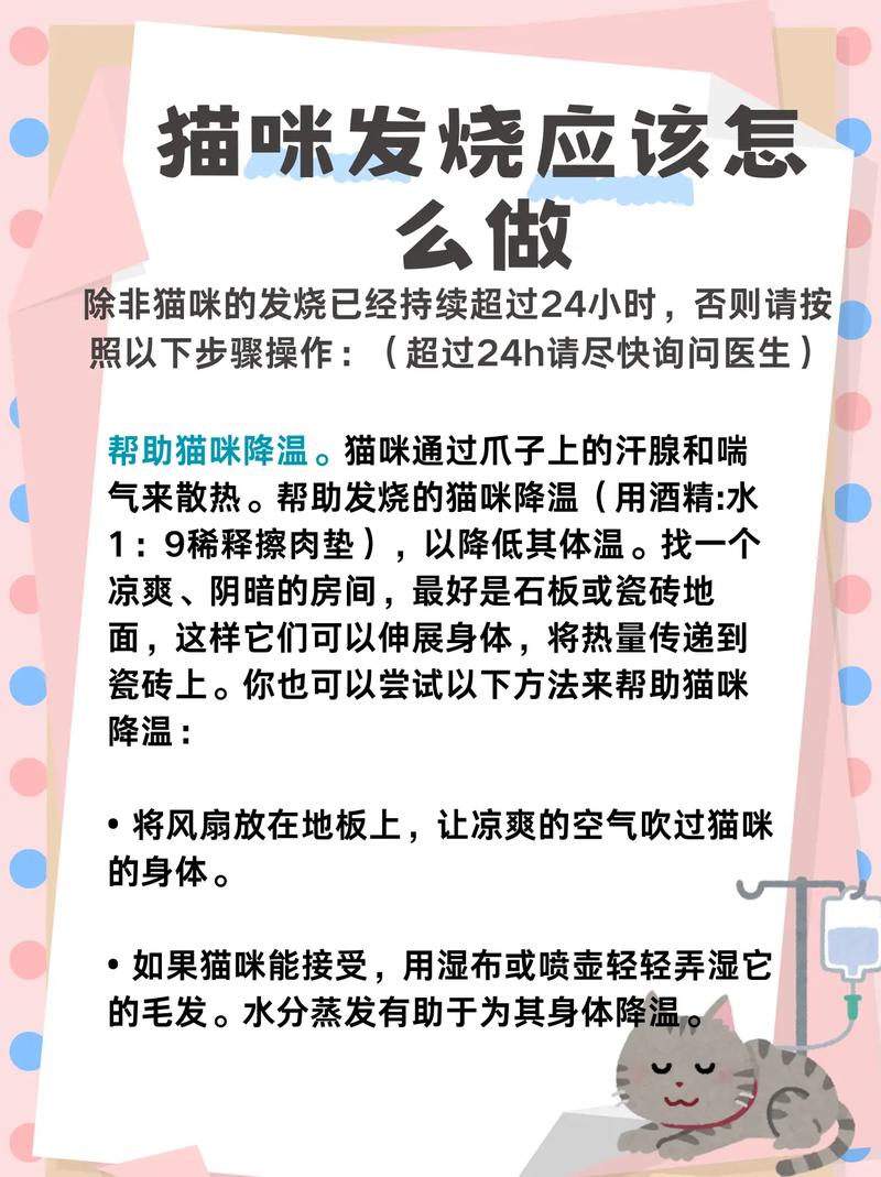 小猫发烧有什么症状