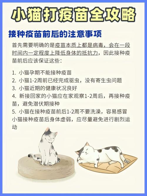 猫咪疫苗怎么打