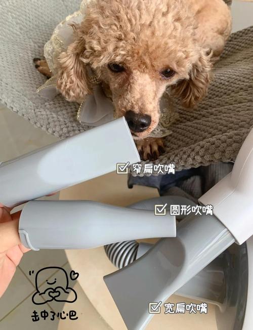 吹水机什么牌子质量好?