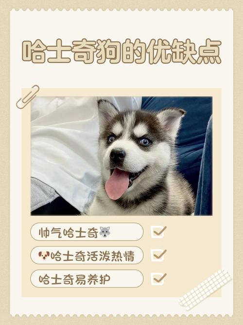 男朋友在微信上把你备注哈士奇什么意思