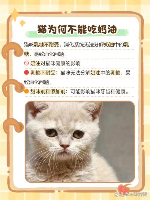 猫咪吃了奶油会有问题吗??