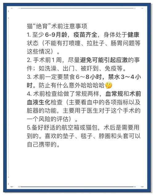 猫咪绝育之前需要做什么准备