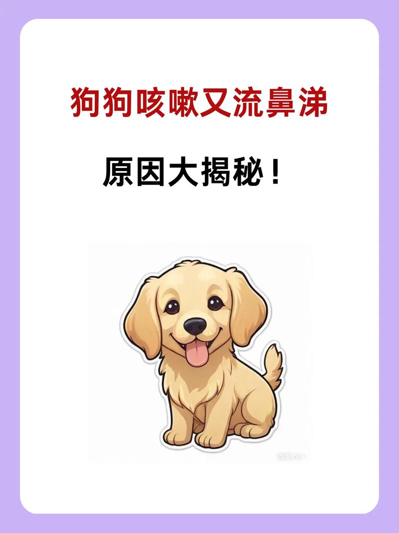 狗狗内出血有什么症状?