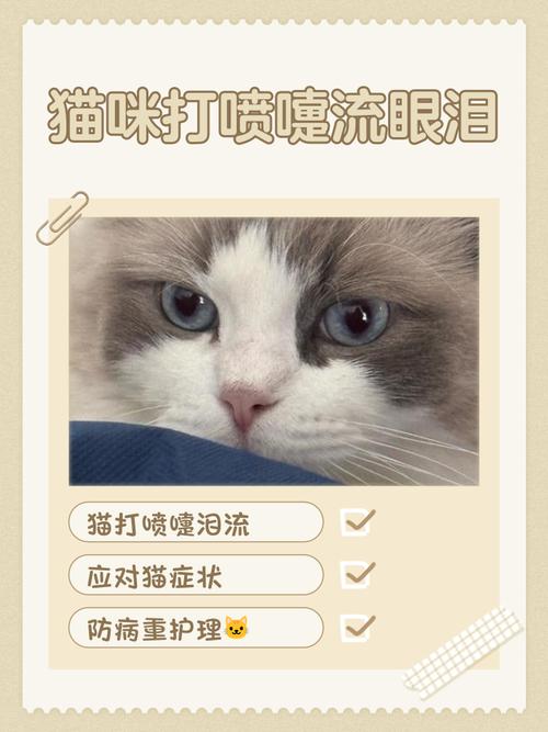 猫时不时打喷嚏一只眼睛流泪