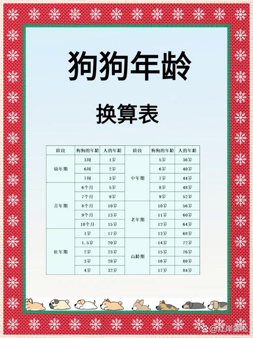 泰迪怎么看年龄?狗狗年龄的对照表,你家狗狗多大了呢?