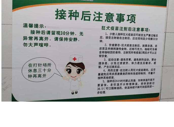 被猫抓了一下怎么办