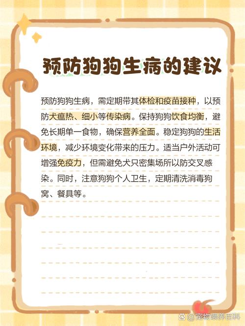 狗狗发烧不吃东西怎么办