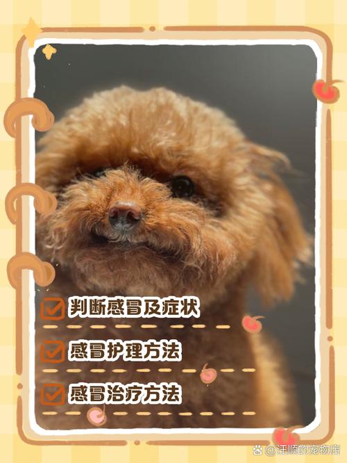 ...这几天一直在发烧体温在39.5℃左右,咳嗽的挺厉害,不吃东西,就...