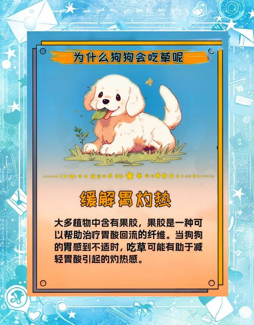 狗狗为什么吃甘草