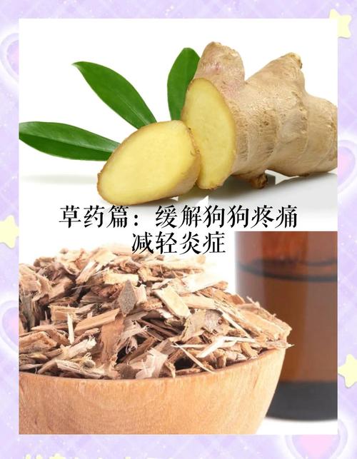 4岁泰迪喝了4粒成人甘草片有事吗