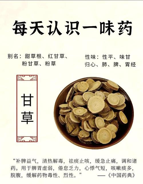 小狗感冒了怎么处理