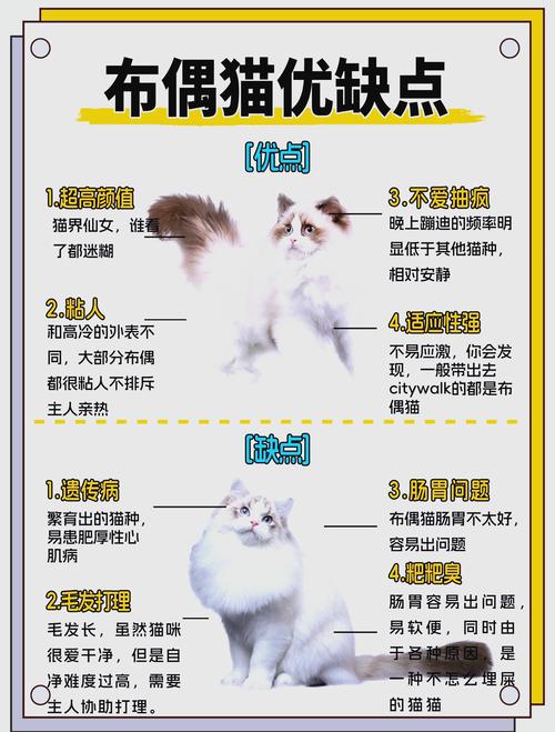 猫拉完屎不埋怎么回事