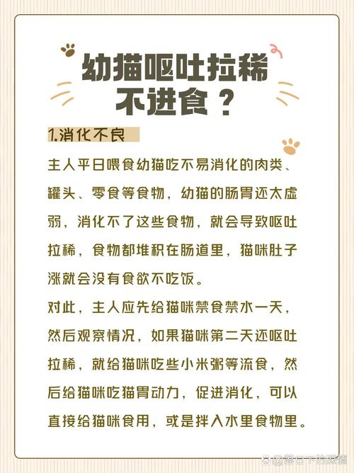 小猫咪几天不吃饭不吐不拉