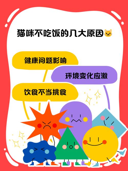 猫咪好三四天不吃饭怎么办