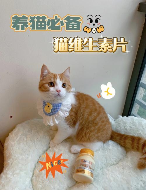 猫可以吃麦片吗?