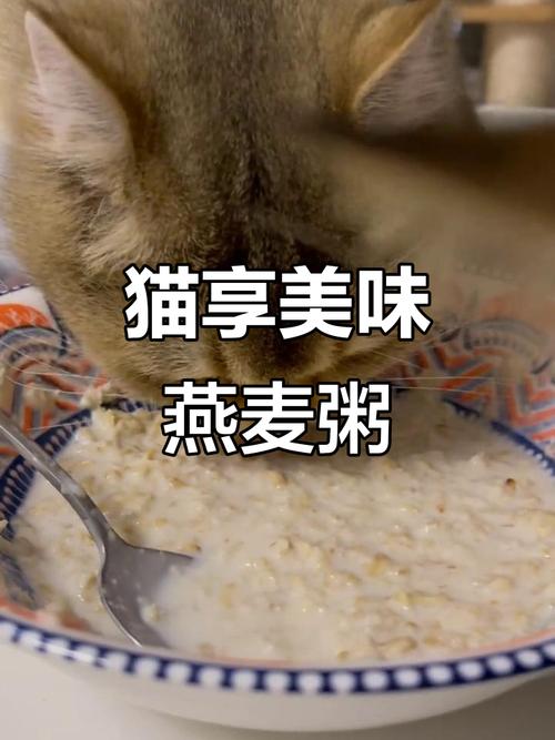 猫咪可以吃麦片吗