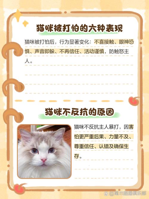 猫咪害怕主人的十种表现