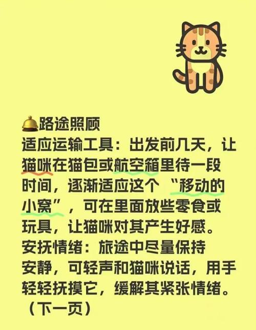 坐高铁能带猫咪一起吗