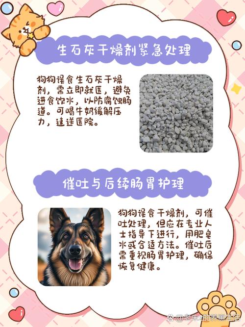 狗狗吃了干燥剂怎么办