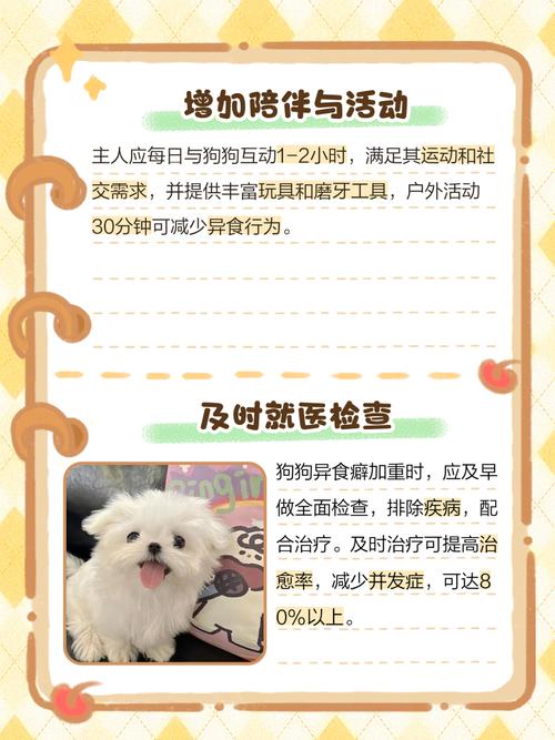 我家狗狗吃石灰了