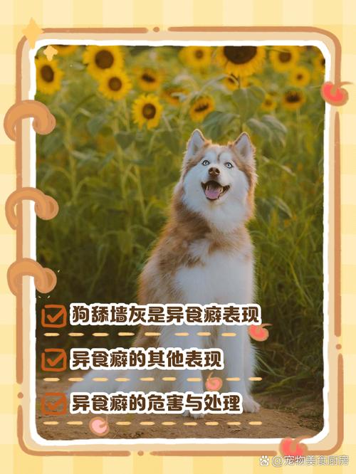 狗狗吃石灰了,怎么办?