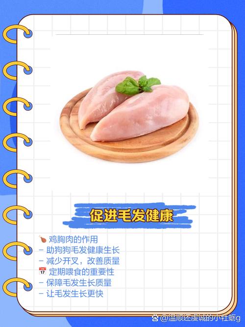 狗狗吃鸡胸肉有什么坏处呢?