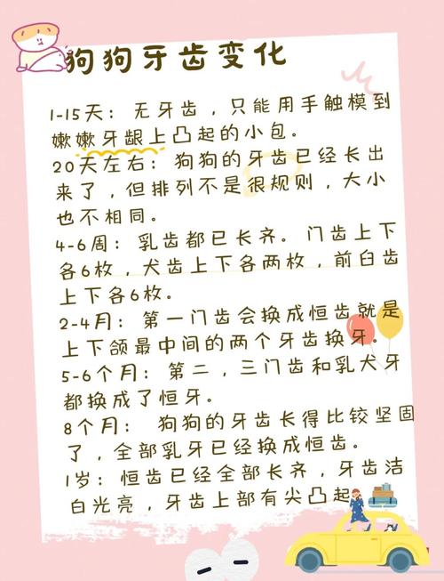 小狗磨牙期要多久