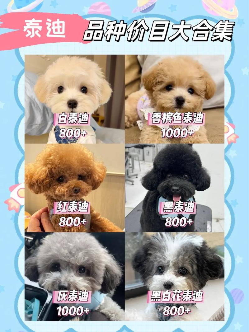 狗狗配种怎么收费