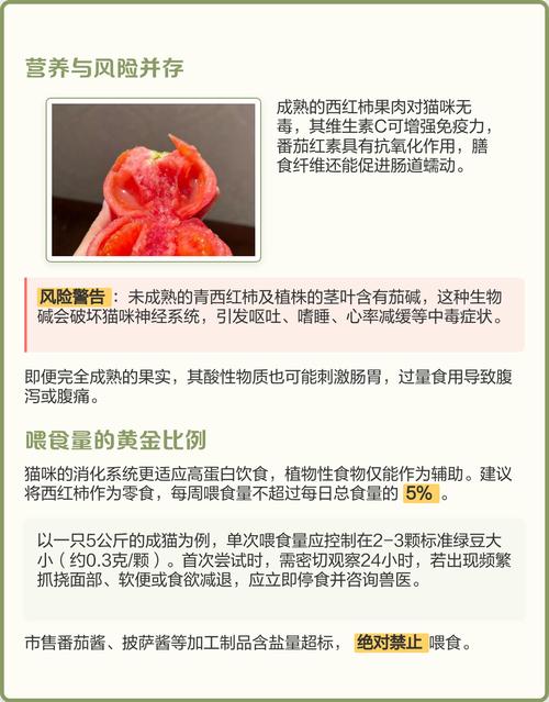 猫咪可以吃西红柿吗?
