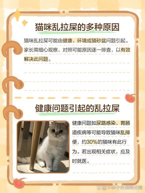 猫咪突然乱拉大小便是怎么回事