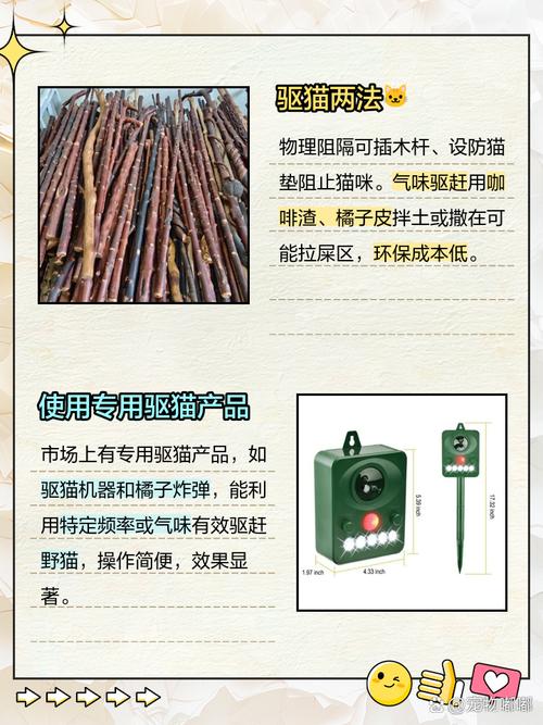 猫咪突然乱拉大小便是怎么回事-猫咪乱拉便便怎么解决