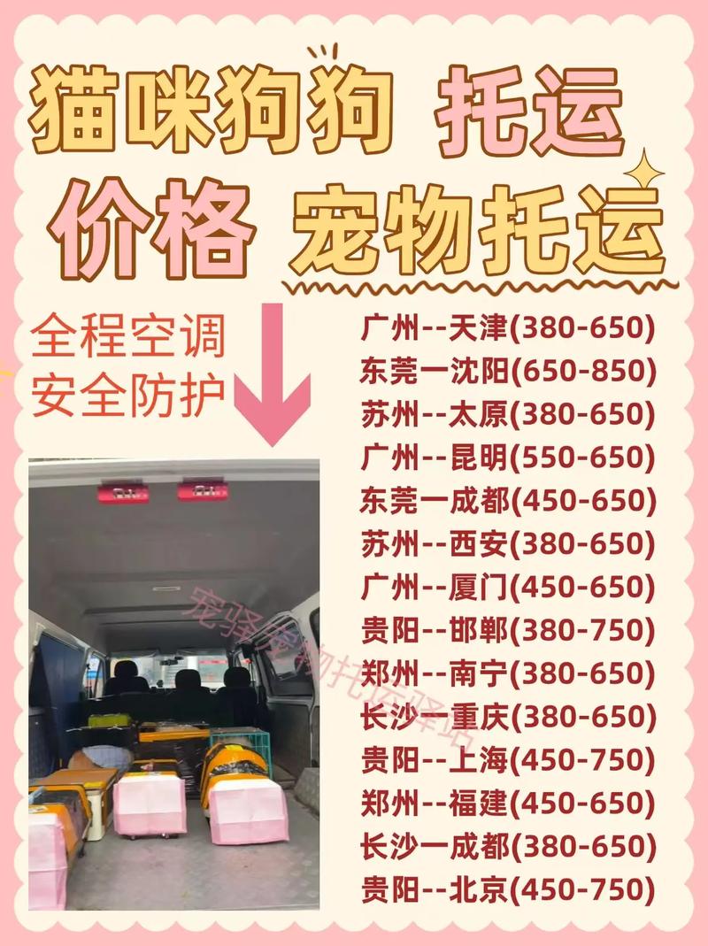 活体猫可以发快递吗,多少钱一只