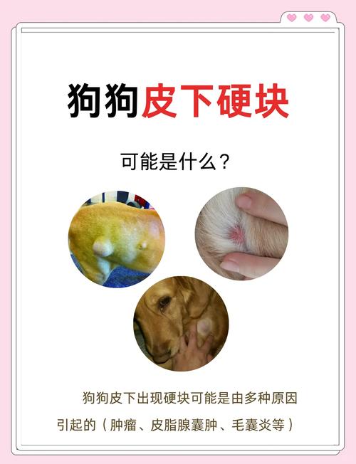 阿拉斯加吃了橡皮泥怎么办