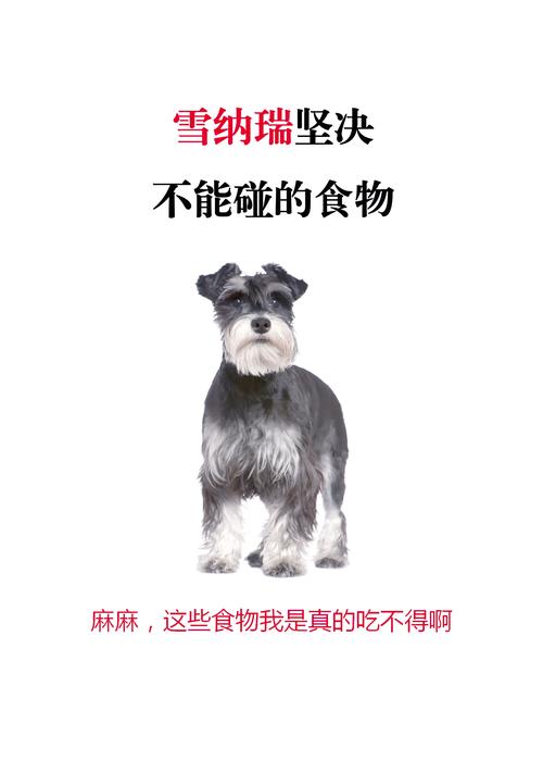 雪纳瑞可以吃香蕉吗