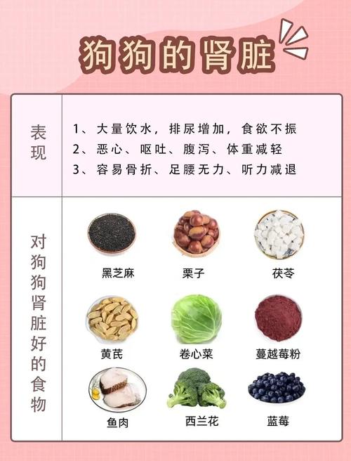 狗狗能吃的内脏