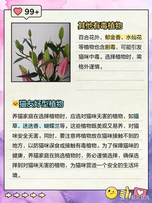 家里有猫可以养百合吗?为什么?