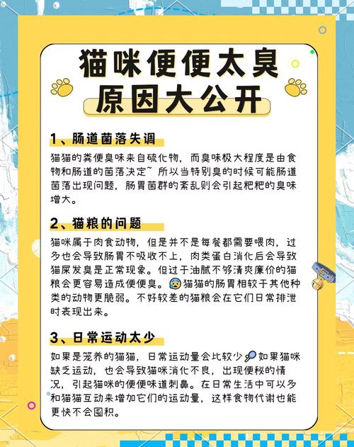 猫咪拉屎很臭是什么原因?