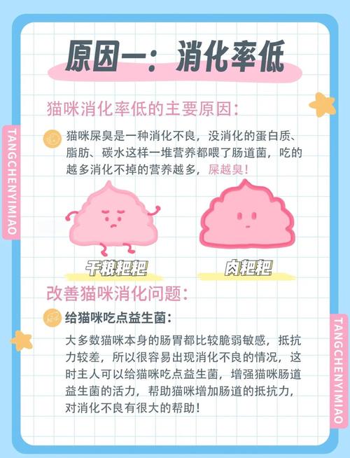 猫咪拉屎特别臭是什么原因