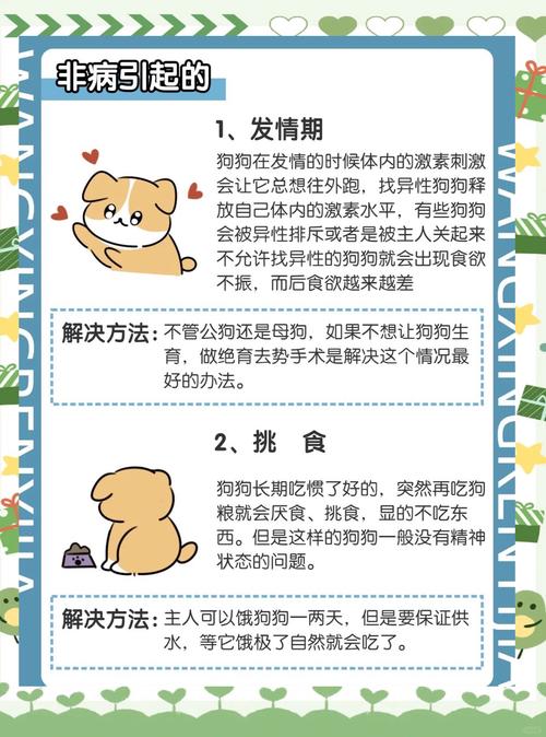 狗狗不吃不喝能不能自愈?