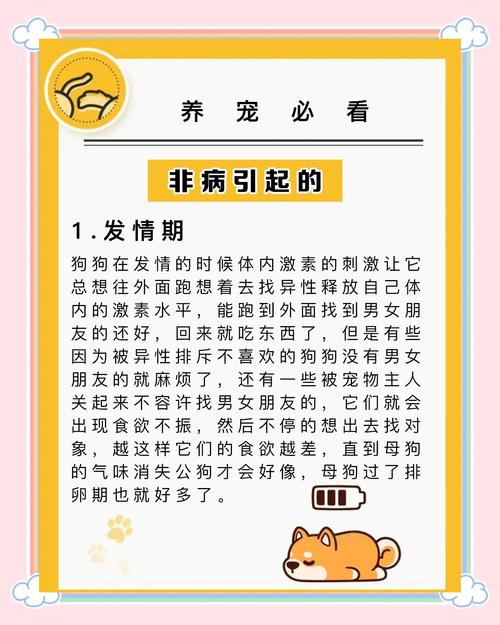 小狗狗不吃不喝(小狗狗不吃不喝怎么办)