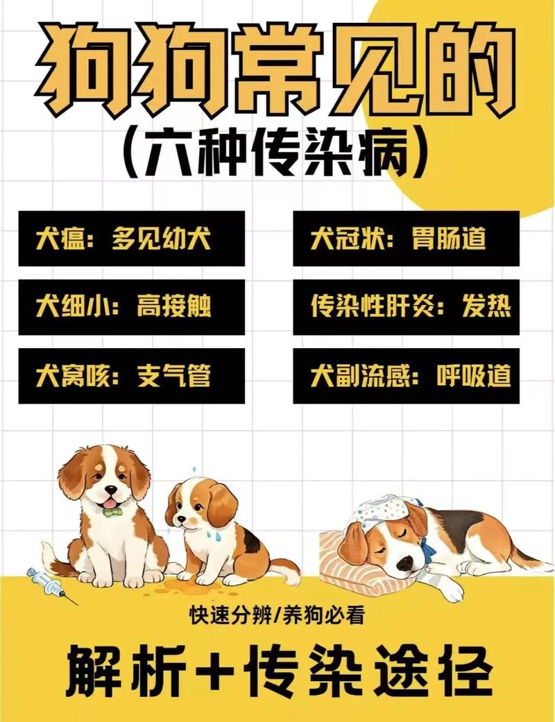 狗狗哪些病会传染给人