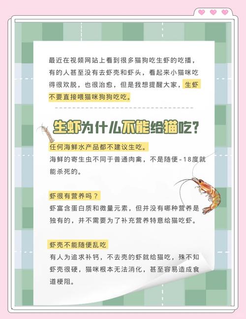 猫可以每天吃虾吗?