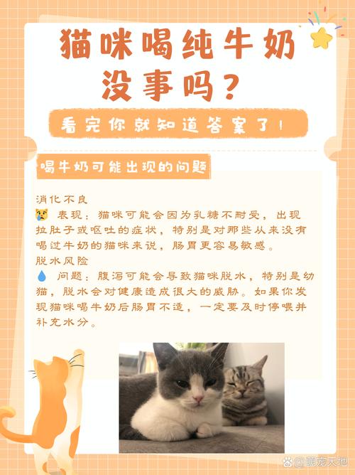 猫咪喝了一点纯牛奶有事吗