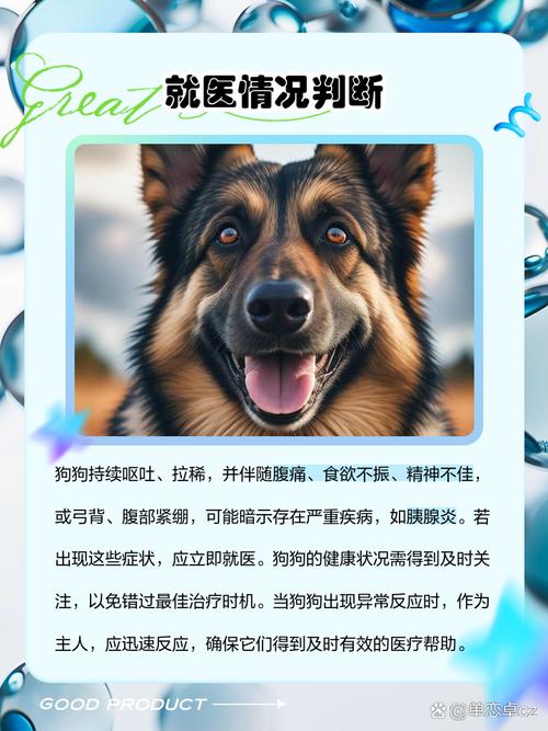 狗狗拉稀呕吐怎么办