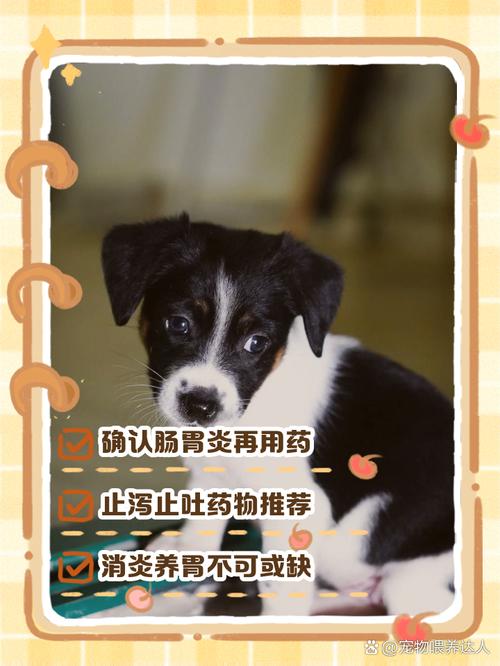 狗狗呕吐拉稀怎么办