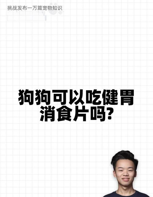 狗可以吃健胃消食片吗